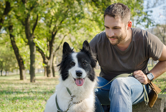 Five mental health benefits of pet ownership.